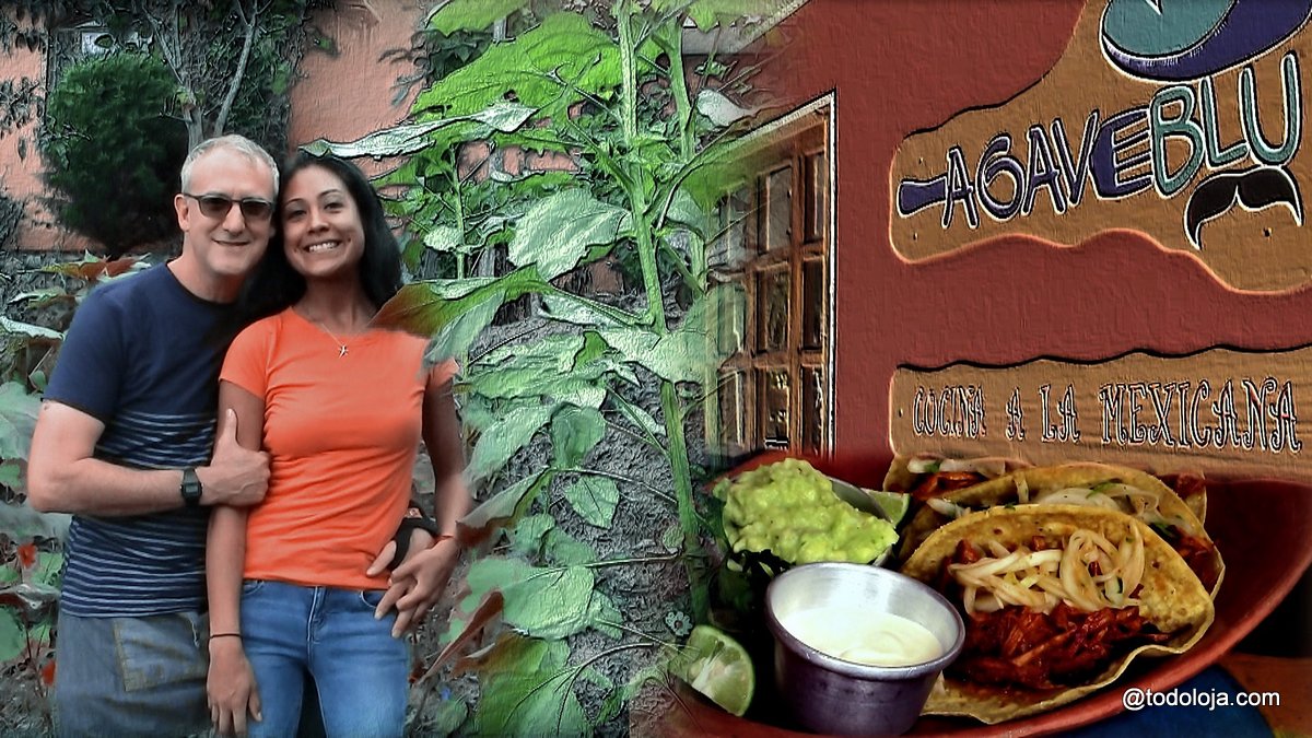 RESTAURANTS  AGAVEBLU Vilcabamba Healthy Mexican Food