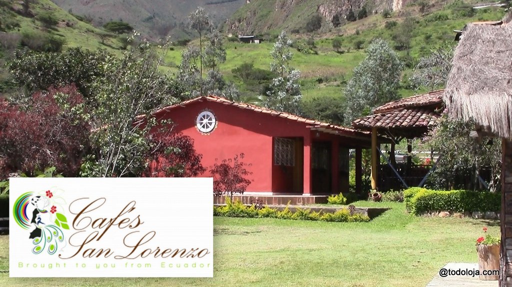 Cafe San Lorenzo - Saraguro Loja 
          Cultura de consumo de un cafe de calidad